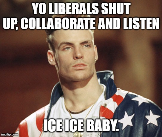 Vanilla Ice | YO LIBERALS SHUT UP, COLLABORATE AND LISTEN; ICE ICE BABY. | image tagged in vanilla ice,liberals,lol | made w/ Imgflip meme maker