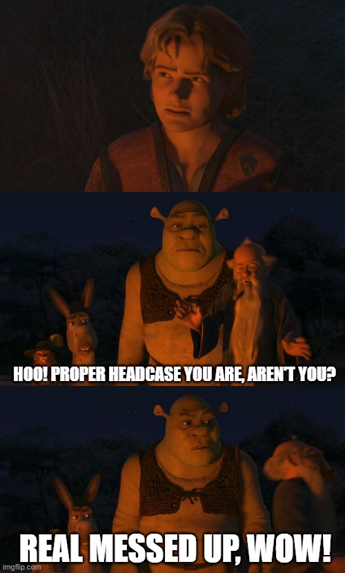 Shrek proper headcase Blank Meme Template