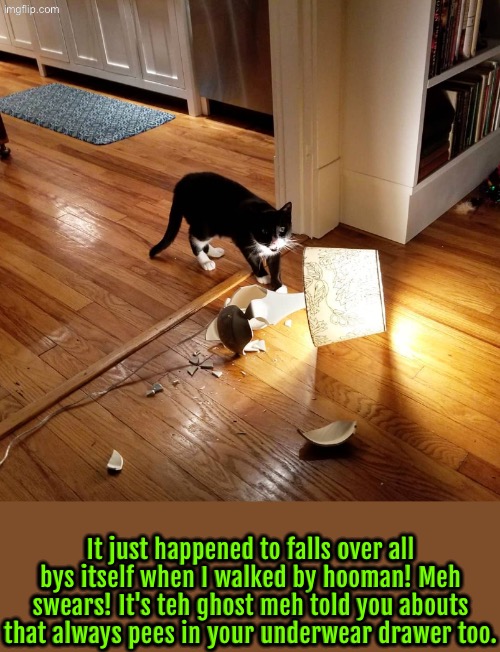 The Ghost Did It | It just happened to falls over all bys itself when I walked by hooman! Meh swears! It's teh ghost meh told you abouts that always pees in your underwear drawer too. | image tagged in cats,funny cats,liar liar,shameless,fake,evil overlord rules | made w/ Imgflip meme maker
