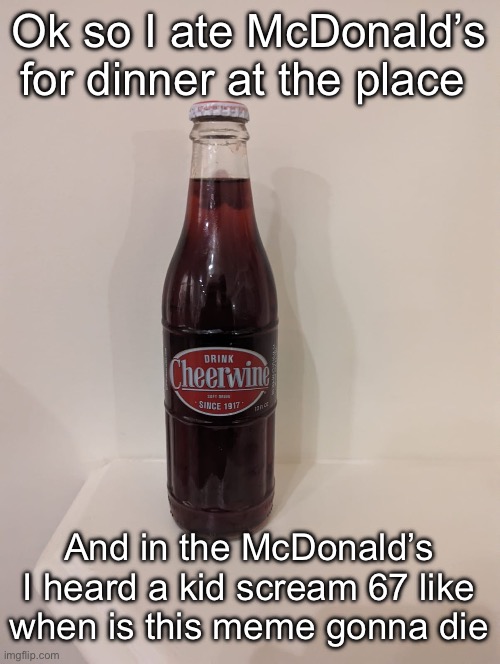 Cheerwine | Ok so I ate McDonald’s for dinner at the place; And in the McDonald’s I heard a kid scream 67 like when is this meme gonna die | image tagged in cheerwine | made w/ Imgflip meme maker