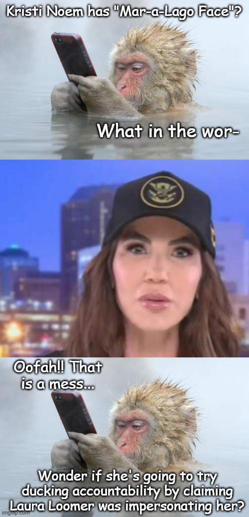 Just sayin' | Kristi Noem has "Mar-a-Lago Face"? What in the wor-; Oofah!! That is a mess... Wonder if she's going to try ducking accountability by claiming Laura Loomer was impersonating her? | image tagged in monkey in a hot tub with iphone,kristi noem | made w/ Imgflip meme maker