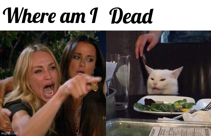 Where am I Dead | image tagged in memes,woman yelling at cat | made w/ Imgflip meme maker