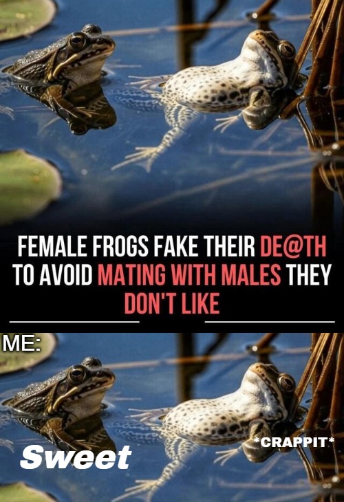 ME:; *CRAPPIT*; Sweet | image tagged in sex jokes,dark humor,funny,nsfw | made w/ Imgflip meme maker