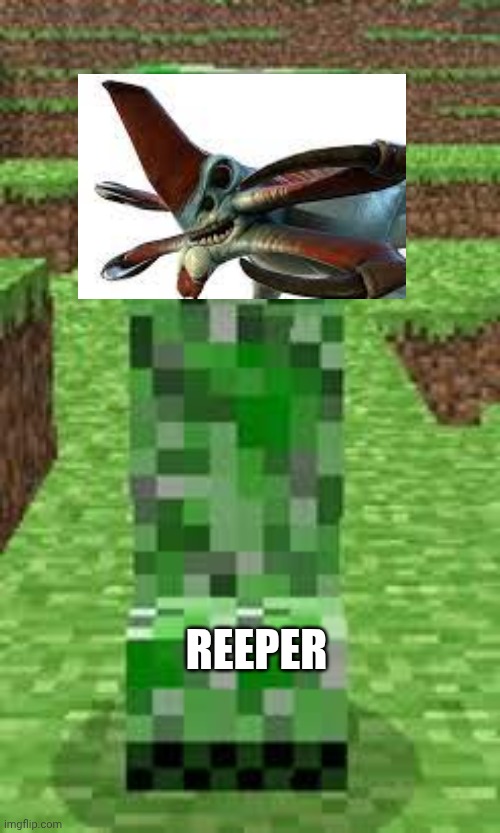 creeper | REEPER | image tagged in creeper | made w/ Imgflip meme maker