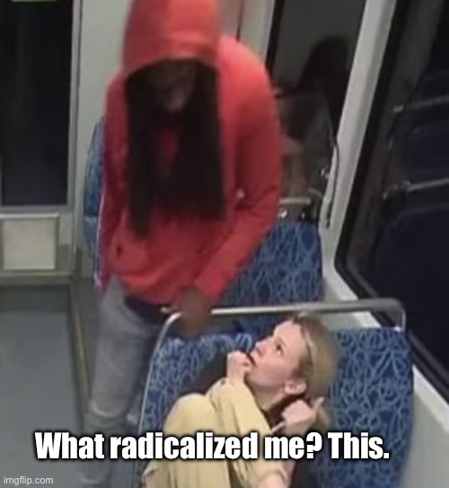 Why wouldn’t it radicalize me? | What radicalized me? This. | image tagged in degenerate career criminal,political | made w/ Imgflip meme maker