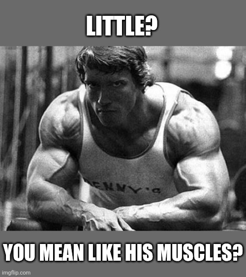 Arnold Schwarzenegger | LITTLE? YOU MEAN LIKE HIS MUSCLES? | image tagged in arnold schwarzenegger | made w/ Imgflip meme maker