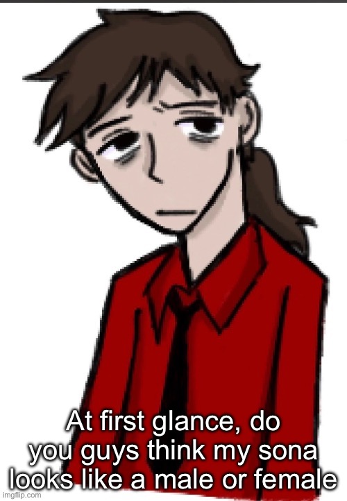 Interested to see yalls reasoning | At first glance, do you guys think my sona looks like a male or female | made w/ Imgflip meme maker