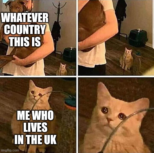 It hurts in my meow | WHATEVER COUNTRY THIS IS ME WHO LIVES IN THE UK | image tagged in it hurts in my meow | made w/ Imgflip meme maker