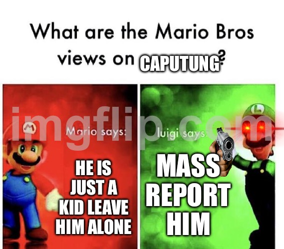 Mario Bros Views | CAPUTUNG; MASS REPORT HIM; HE IS JUST A KID LEAVE HIM ALONE | image tagged in mario bros views | made w/ Imgflip meme maker