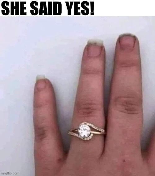 She Said Yes! | SHE SAID YES! | image tagged in chrisjoines1 | made w/ Imgflip meme maker