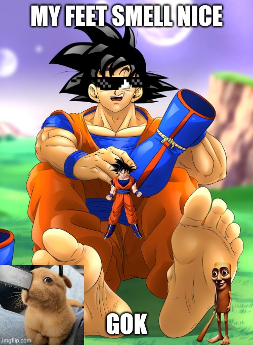 Funny goku meme | MY FEET SMELL NICE; GOK | image tagged in goku feet,funny memes,hilarious,feet | made w/ Imgflip meme maker