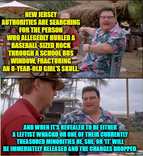 We KNOW this to be true. | NEW JERSEY AUTHORITIES ARE SEARCHING FOR THE PERSON WHO ALLEGEDLY HURLED A BASEBALL-SIZED ROCK THROUGH A SCHOOL BUS WINDOW, FRACTURING AN 8-YEAR-OLD GIRL’S SKULL. AND WHEN IT'S REVEALED TO BE EITHER A LEFTIST WHACKO OR ONE OF THEIR CURRENTLY TREASURED MINORITIES HE, SHE, OR 'IT' WILL BE IMMEDIATELY RELEASED AND THE CHARGES DROPPED. | image tagged in see nobody cares | made w/ Imgflip meme maker