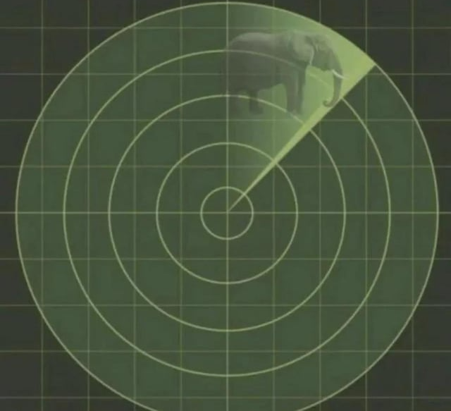 elephant radar Blank Meme Template