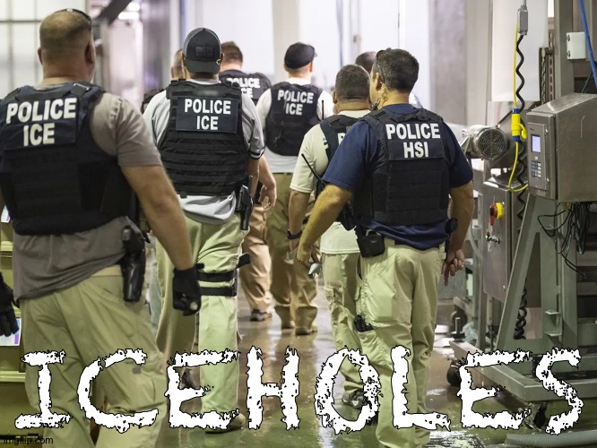 They know what they are | ICEHOLES | image tagged in ice raid | made w/ Imgflip meme maker