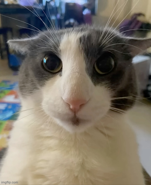 Hello | image tagged in he is dangerous | made w/ Imgflip meme maker