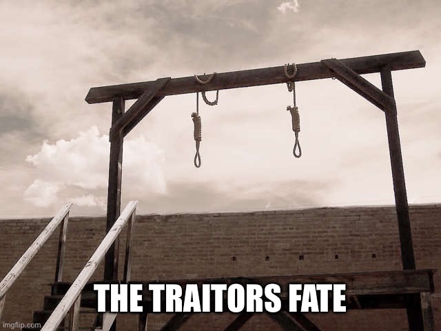 gallows | THE TRAITORS FATE | image tagged in gallows | made w/ Imgflip meme maker