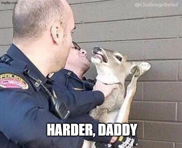 Harder, Daddy | @ChallengeBelief; HARDER, DADDY | image tagged in deer interrogation | made w/ Imgflip meme maker