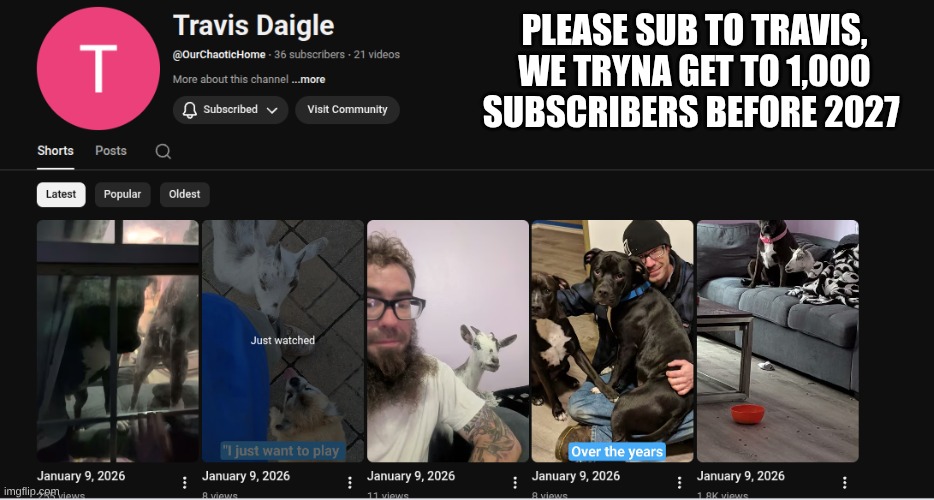 it's js my goofy animals..I created the channel for my my dad | PLEASE SUB TO TRAVIS, WE TRYNA GET TO 1,000 SUBSCRIBERS BEFORE 2027 | made w/ Imgflip meme maker