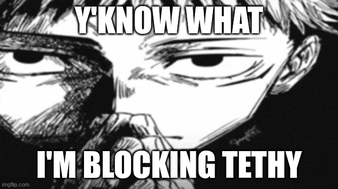 Itadori Yuji Son | Y'KNOW WHAT; I'M BLOCKING TETHY | image tagged in itadori yuji son | made w/ Imgflip meme maker
