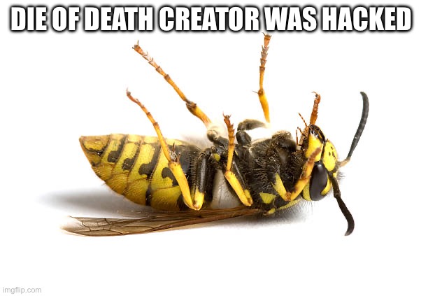Wasp | DIE OF DEATH CREATOR WAS HACKED | image tagged in wasp | made w/ Imgflip meme maker