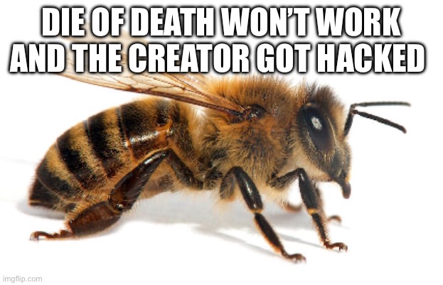 bee | DIE OF DEATH WON’T WORK AND THE CREATOR GOT HACKED | image tagged in bee | made w/ Imgflip meme maker