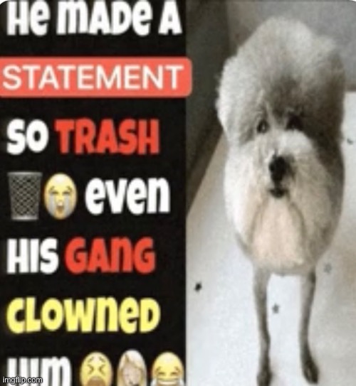 made w/ Imgflip meme maker