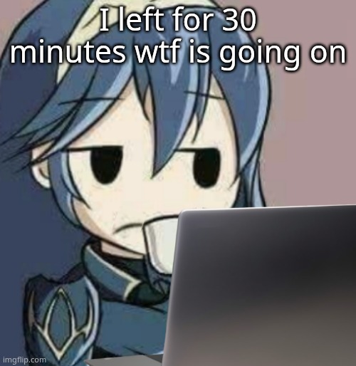 Lucina looking at laptop | I left for 30 minutes wtf is going on | image tagged in lucina looking at laptop | made w/ Imgflip meme maker
