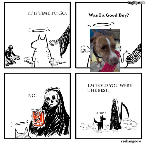 rest in peace, mars. you were the greatest fucking dog I could have ever had. | image tagged in was i a good boy,jesus it hurts so much,i miss my good boy so much,why fate | made w/ Imgflip meme maker