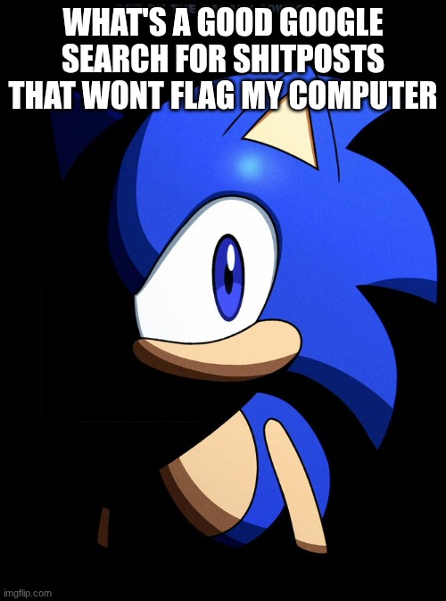 Sonic Blank Stare In The Dark | WHAT'S A GOOD GOOGLE SEARCH FOR SHITPOSTS THAT WONT FLAG MY COMPUTER | image tagged in sonic blank stare in the dark | made w/ Imgflip meme maker