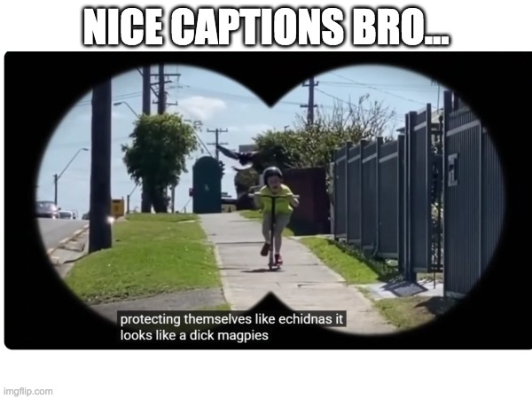 he really said "dih" | NICE CAPTIONS BRO... | image tagged in dick,caption this | made w/ Imgflip meme maker