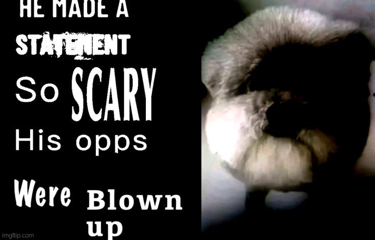 He made a statement so scary | image tagged in he made a statement so scary | made w/ Imgflip meme maker