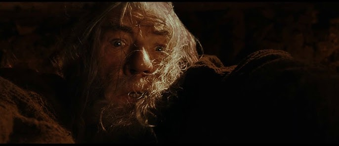 you fools Blank Meme Template