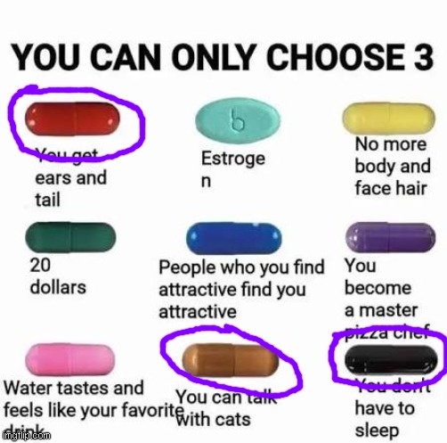 i would take 20 bucks, but like, i wanna know what my cat is saying | image tagged in you can only choose 3 | made w/ Imgflip meme maker