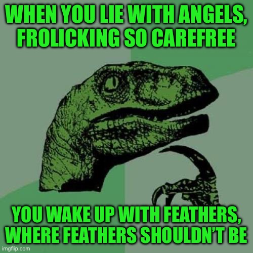 Philosoraptor | WHEN YOU LIE WITH ANGELS,  FROLICKING SO CAREFREE; YOU WAKE UP WITH FEATHERS, WHERE FEATHERS SHOULDN’T BE | image tagged in memes,philosoraptor | made w/ Imgflip meme maker