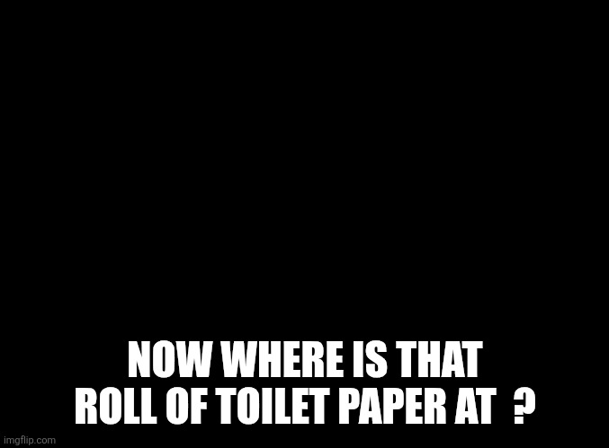 blank black | NOW WHERE IS THAT ROLL OF TOILET PAPER AT  ? | image tagged in blank black | made w/ Imgflip meme maker