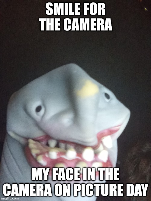 Y'all is this relatable | SMILE FOR THE CAMERA; MY FACE IN THE CAMERA ON PICTURE DAY | image tagged in fun,relatable,funny | made w/ Imgflip meme maker