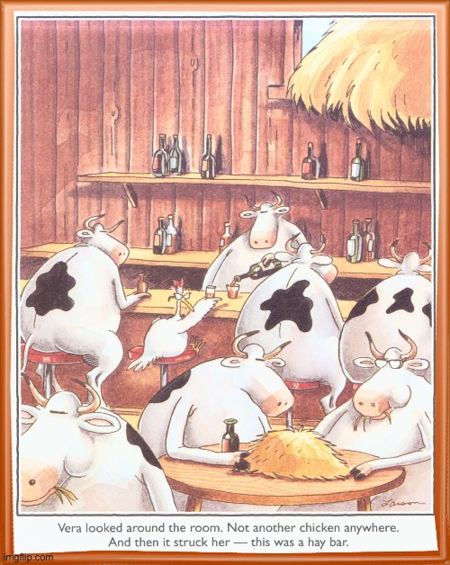 The chicken coop was closed for renovations… | image tagged in the far side,comics,hay bar,cows,chicken,wrong place | made w/ Imgflip meme maker