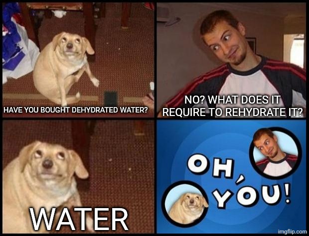 Oh You | NO? WHAT DOES IT REQUIRE TO REHYDRATE IT? HAVE YOU BOUGHT DEHYDRATED WATER? WATER | image tagged in oh you | made w/ Imgflip meme maker