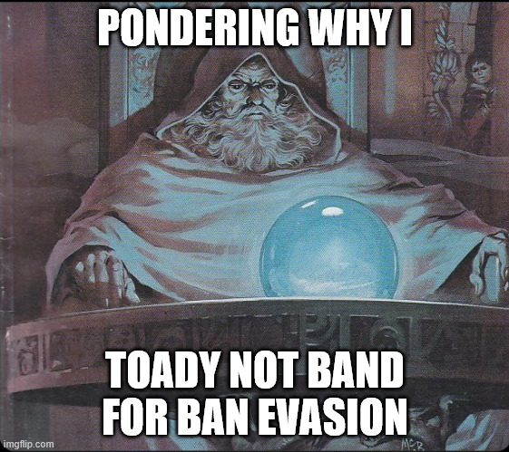Hi | PONDERING WHY I; TOADY NOT BAND FOR BAN EVASION | image tagged in pondering my orb | made w/ Imgflip meme maker