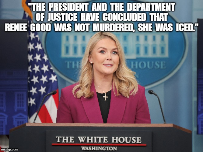 Truth on Ice | "THE  PRESIDENT  AND  THE  DEPARTMENT  OF  JUSTICE  HAVE  CONCLUDED  THAT  RENEE  GOOD  WAS  NOT  MURDERED,  SHE  WAS  ICED." | image tagged in police state | made w/ Imgflip meme maker