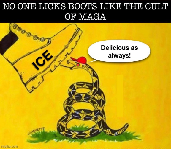 MAGA bootlickers | . | image tagged in maga,trump,republicans,boot lickers,conservatives | made w/ Imgflip meme maker