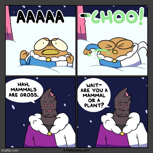 image tagged in stars,bean,sneeze,geode,mammal,plant | made w/ Imgflip meme maker