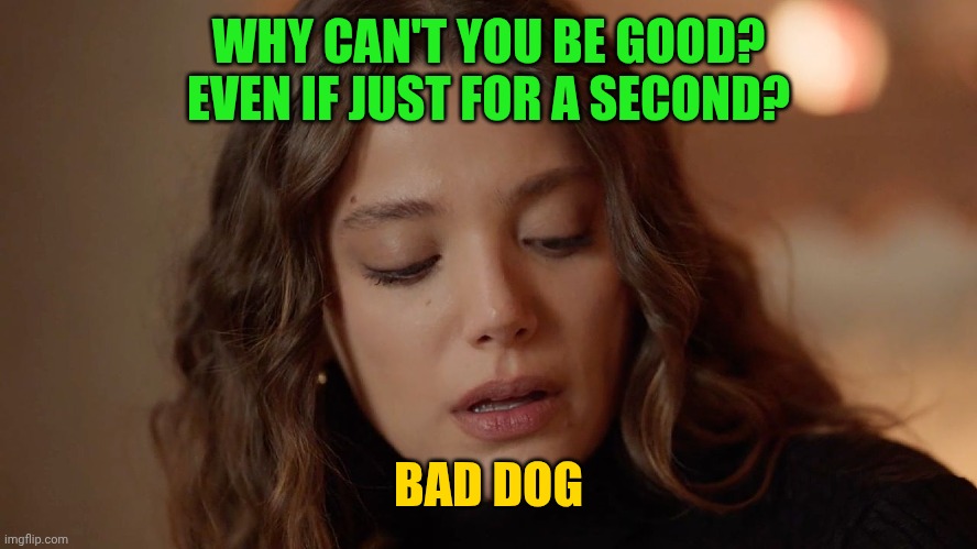 Sevilay (La notte nel cuore) | WHY CAN'T YOU BE GOOD? EVEN IF JUST FOR A SECOND? BAD DOG | image tagged in sevilay la notte nel cuore | made w/ Imgflip meme maker