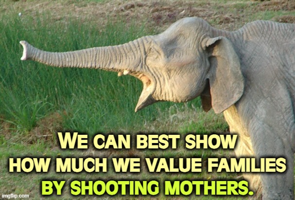We can best show how much we value families; by shooting mothers. | image tagged in trump,violence,women,family values,murder,mothers | made w/ Imgflip meme maker