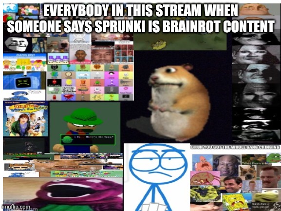 I'm looking at you, I_am_antisprunki-fan | EVERYBODY IN THIS STREAM WHEN SOMEONE SAYS SPRUNKI IS BRAINROT CONTENT | image tagged in sprunki,haters,suck | made w/ Imgflip meme maker