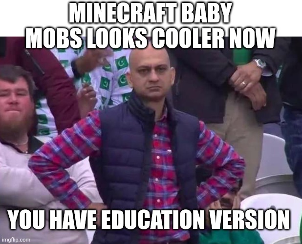 Uptade | MINECRAFT BABY MOBS LOOKS COOLER NOW; YOU HAVE EDUCATION VERSION | image tagged in unimpressed man | made w/ Imgflip meme maker