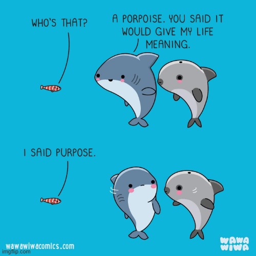 image tagged in fish,shark,porpoise,life,meaning,purpose | made w/ Imgflip meme maker