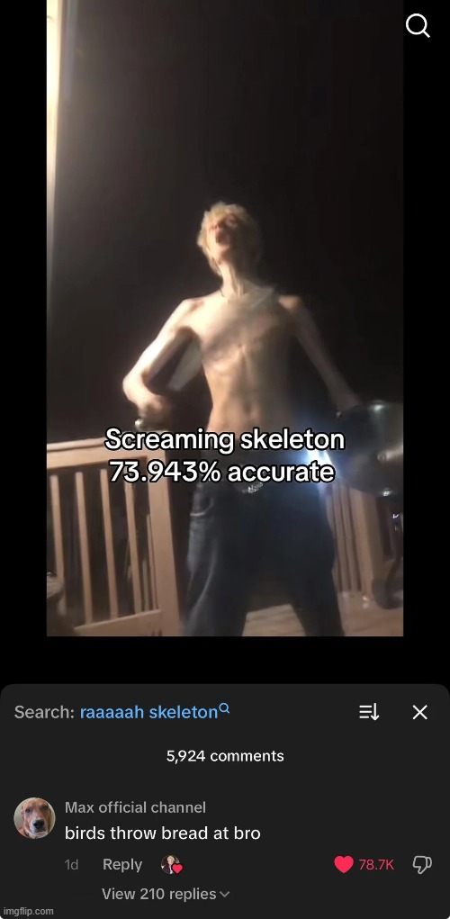 image tagged in skeleton,screaming,birds,throw,throwing,bread | made w/ Imgflip meme maker