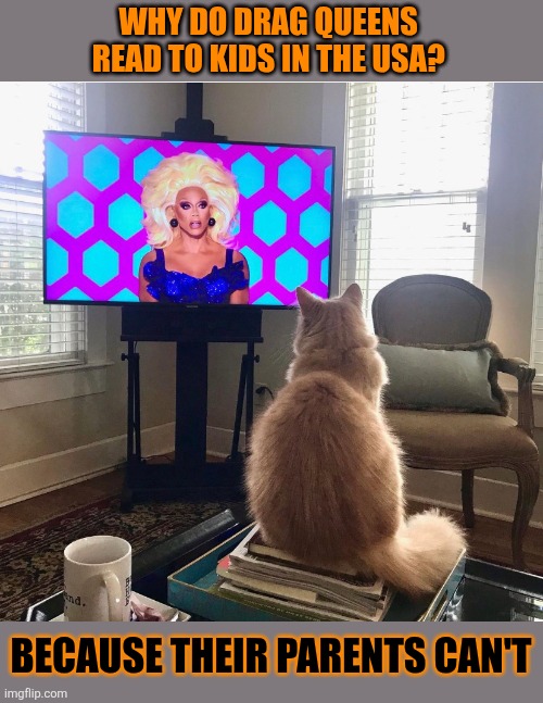 This #lolcat wonders about Drag Queen Storytime (Mod note: ???????????????) | WHY DO DRAG QUEENS 
READ TO KIDS IN THE USA? BECAUSE THEIR PARENTS CAN'T | image tagged in drag queen,reading,literature,books,children,lolcat | made w/ Imgflip meme maker