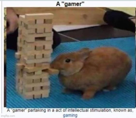 A "gamer"

A "gamer" partaking in a act of intellectual stimulation, known as,
gaming | made w/ Imgflip meme maker